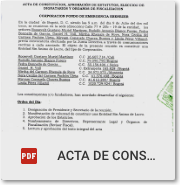 Acta de Constitucion