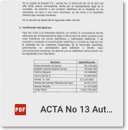 Acta n13